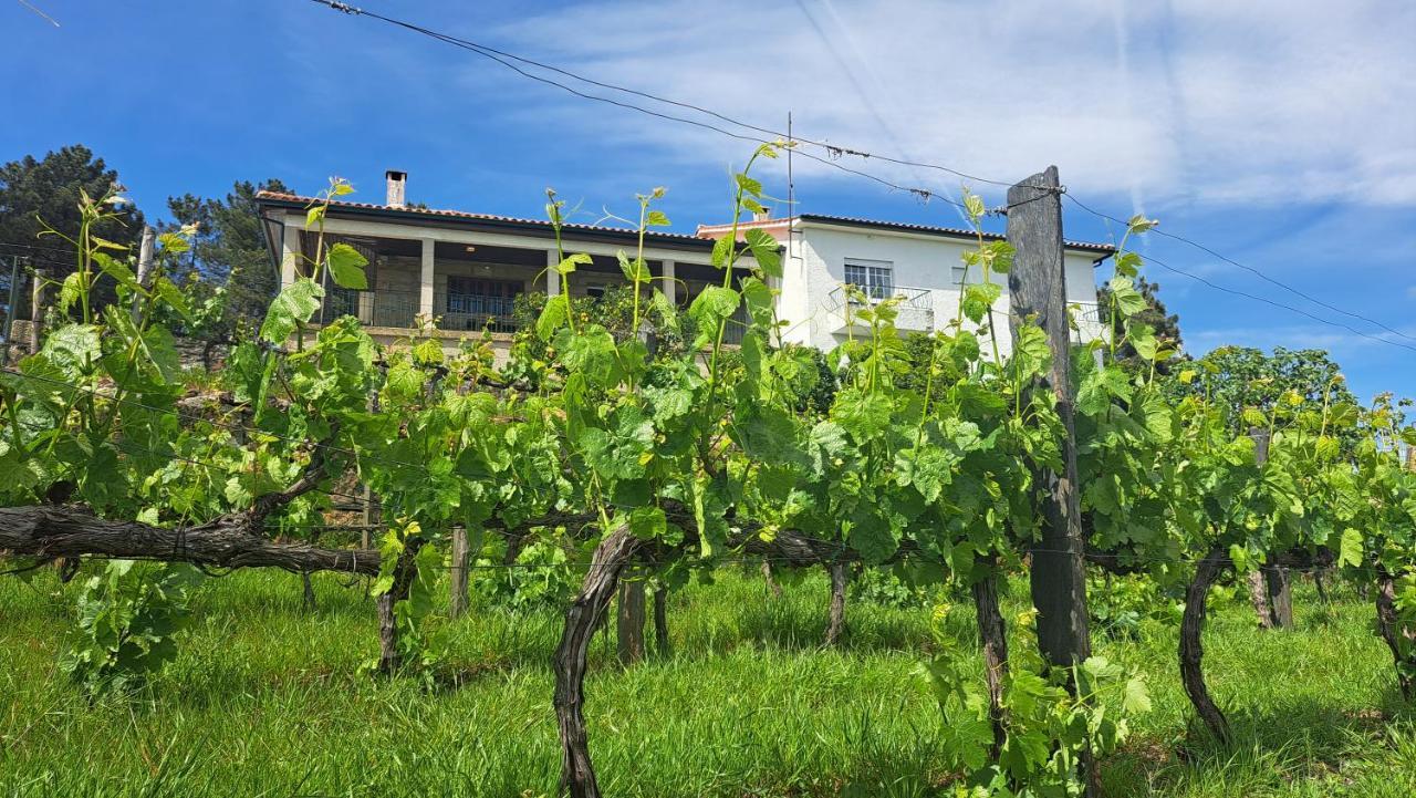Quinta Soutelinho Apartment Саброса Екстериор снимка